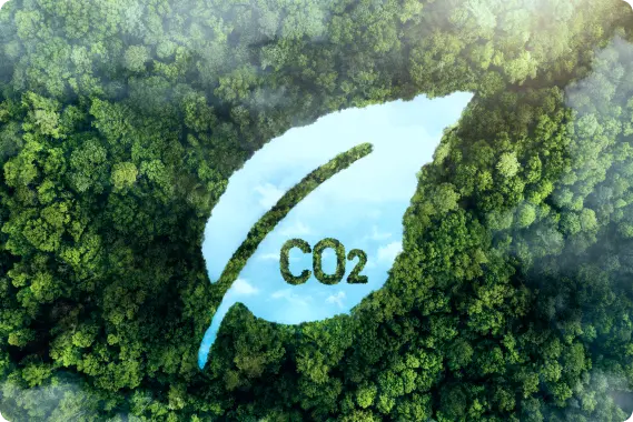 Ảnh CO2